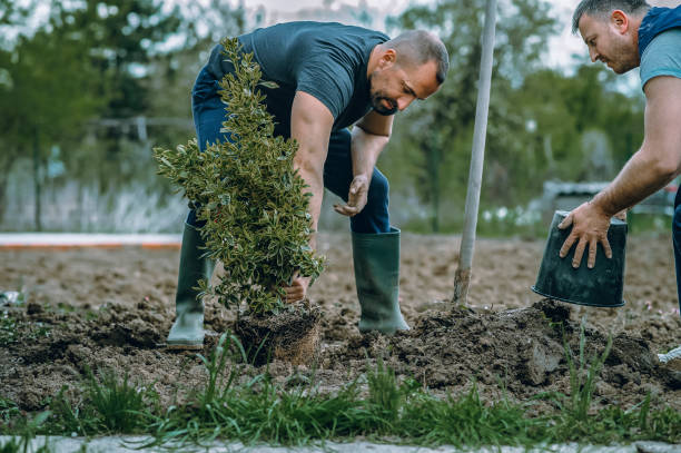 Bexley, OH Tree Care Services Company